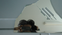 skrillcord Discord Server Banner