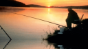 The Elite Fishers Discord Server Banner