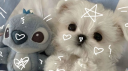 hope❜　𓆩 Discord Server Banner