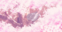 Verified Lounge Discord Server Banner