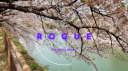 The Rogue Syndicate Discord Server Banner