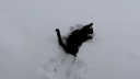 /cifer Discord Server Banner