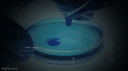 LEARN NEURAL Discord Server Banner