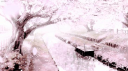 ʚ 𝓵𝓸𝓿𝓮𝓵𝔂𝓼 ɞ Discord Server Banner