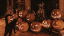 /𝑓l𝑒𝙪𝙧  ˚ 🎃     {𝑓𝑙𝑒𝑢𝑟𝑎𝑤𝑒𝑒𝑛} Discord Server Banner