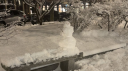 Sammy’s Squirrels Discord Server Banner