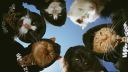 PROUT Discord Server Banner