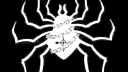 [PTO] Phantom Troupe Org🕷 🕸 Discord Server Banner