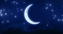 Evernight Glade Discord Server Banner
