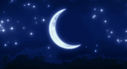 Evernight Glade Discord Server Banner