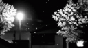 OniAnime™ — onianime.hu Discord Server Banner