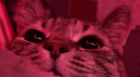 feelin' ﾉflirty Discord Server Banner