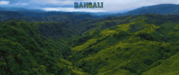 BANGALI Discord Server Banner