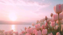 🌷 ノtulip Discord Server Banner