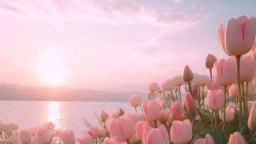 🌷 ノtulip Discord Server Banner