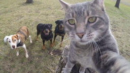 Deep Writes Discord Server Banner