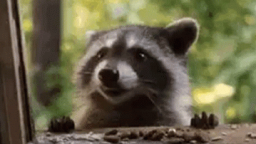 Bl4ck's Market Discord Server Banner