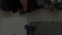 /asker8 " kg Discord Server Banner