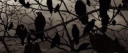 𝑅𝑎𝑣𝑒𝑟𝑦𝑛 𝐾𝑖𝑛𝑔𝑑𝑜𝑚 Discord Server Banner