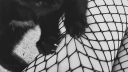 ﹒    ♱ ◟        ⌞xoxo⌝        ﹒   .ᐟ Discord Server Banner