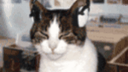 THE ULTIMATE MINE Discord Server Banner