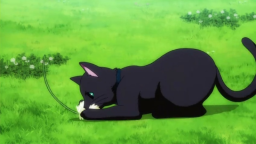 ฅᨐฅ Discord Server Banner