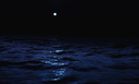 505 Discord Server Banner