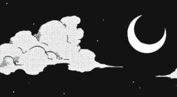 northing's (kitty) Discord Server Banner