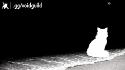 Void Discord Server Banner