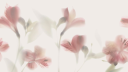 ⊹ 🌷 ꒰ Twilight ꒱𓂃 Discord Server Banner