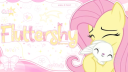 🌸　ノfluttershy　୨୧　tagsㆍgiveαwαysㆍsociαl Discord Server Banner