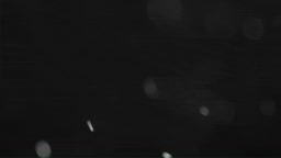 Red Chilly🌶 Discord Server Banner