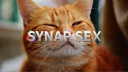 Spooky Synapse Bat Fan Club Discord Server Banner