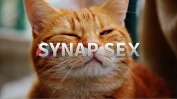 Spooky Synapse Bat Fan Club Discord Server Banner