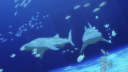 ⌒⌒　aquatic yume cafe　🪼 Discord Server Banner
