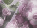 /𝒥ellyous  𓂃 ࣪𓇼 Discord Server Banner