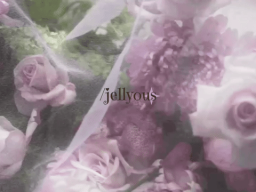 /𝒥ellyous 𓂃 ࣪𓇼 Discord Server Banner