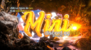 Miri Discord Server Banner