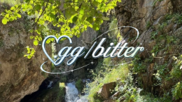 ノbıtter 🌴 ◝ ıcons Discord Server Banner