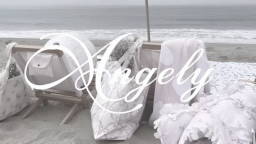 ⑅ ݂ 🥥 angely ૮ ․ ․ ྀིა sociαl 𓈒 ݂ giveαwαys ݂ decor ݁ 𓈒 Discord Server Banner