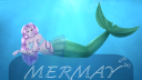The Coral Reef Discord Server Banner
