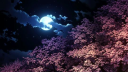 ⟢ ︰𝗬𝗮𝗽𝗼𝗰𝗮𝗹𝘆𝗽𝘀𝗲 ✦ Discord Server Banner