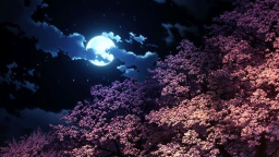 ⟢ ︰𝗬𝗮𝗽𝗼𝗰𝗮𝗹𝘆𝗽𝘀𝗲 ✦ Discord Server Banner