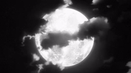 watari Discord Server Banner