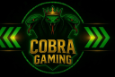 ᑕOᗷᖇᗩ GᗩᗰIᑎG Discord Server Banner