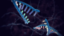 Biomaxxing Discord Server Banner