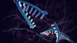 Biomaxxing Discord Server Banner