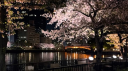 ／𝑡𝑜𝑘𝑎𝑎 ┆ 𝑠𝑜𝑐𝑖𝑎𝑙  ﹕ 𝘩𝘢𝘯𝘨𝘰𝘶𝘵  ﹕  𝑠𝑒𝑚𝑖-𝑡𝑜𝑥 Discord Server Banner