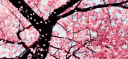 Cozy Corner ✗  Social ~ Chill ~ Hangout ~ Fun Discord Server Banner