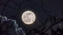 🌙 Discord Server Banner
